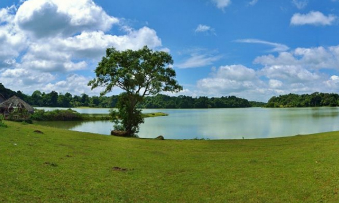 Trảng cỏ Bù Lạch