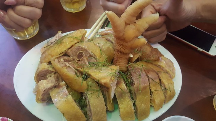 Gà Đông Tảo làm món gì ngon? Đặc điểm chân, món ngon dễ làm, mẹo chế biến, dinh dưỡng