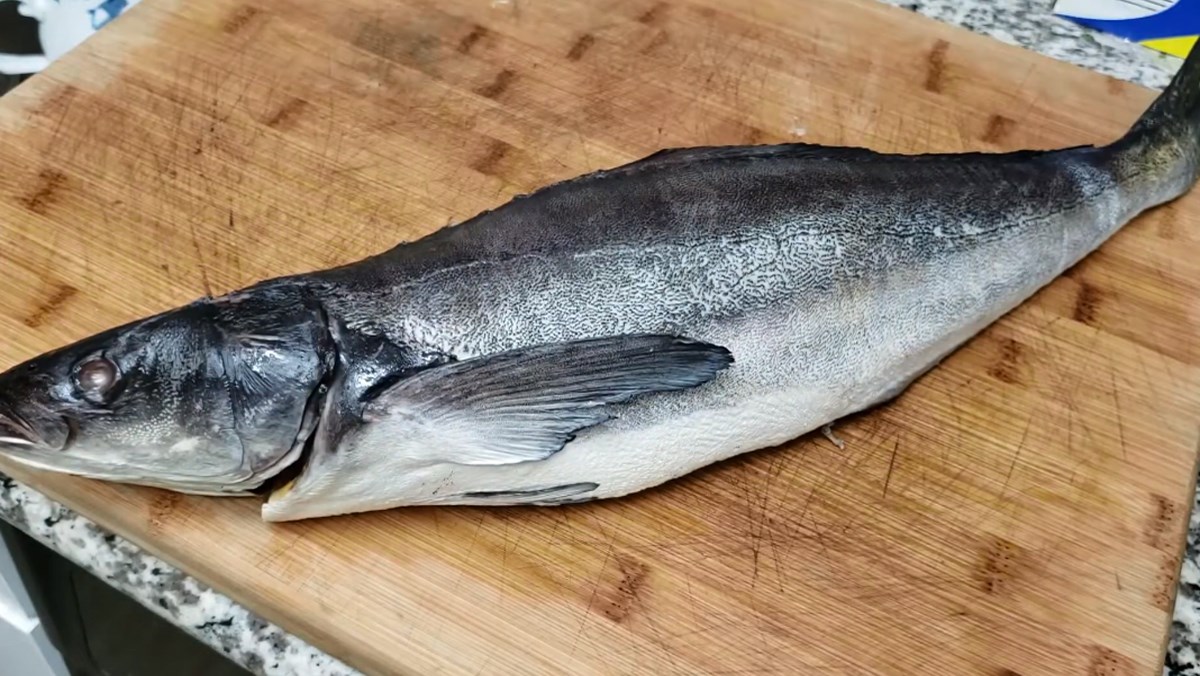 Cá bớp bao nhiêu calo, protein? Thành phần dinh dưỡng, ảnh hưởng chế độ ăn, cách chế biến phù hợp