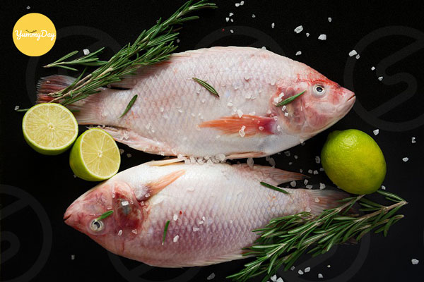 Cá diêu hồng bao nhiêu calo? Protein trong thịt cá, cách nấu ảnh hưởng calo, phù hợp người giảm cân