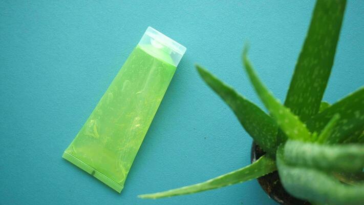 Cách sử dụng nha đam tươi hiệu quả cho da, tóc và chế độ ăn hàng ngày