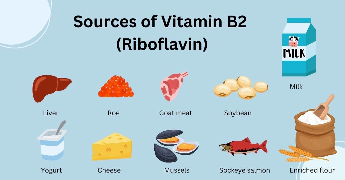 Top 15 thực phẩm giàu vitamin B2 hỗ trợ chuyển hóa và tăng cường thị lực