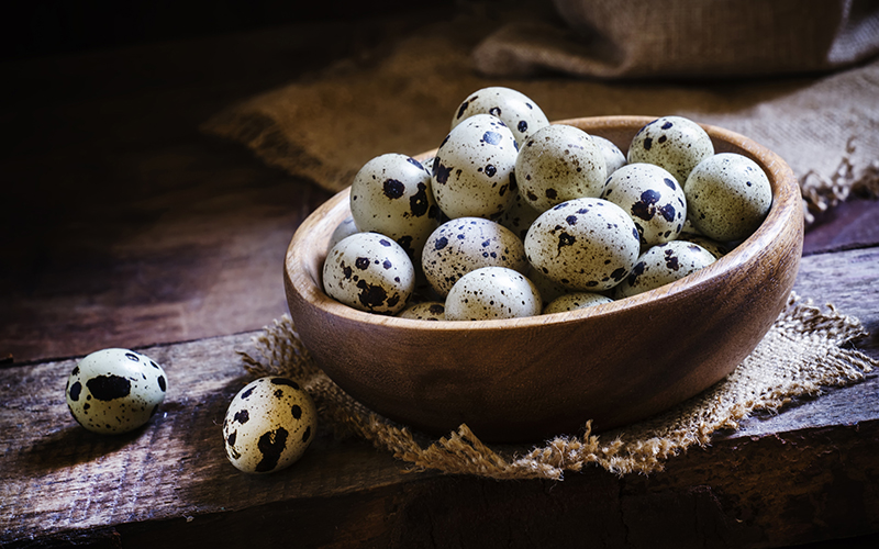 Trứng cút bao nhiêu calo, protein? Lợi ích tăng trưởng, năng lượng mỗi quả, so với trứng gà và thịt cá