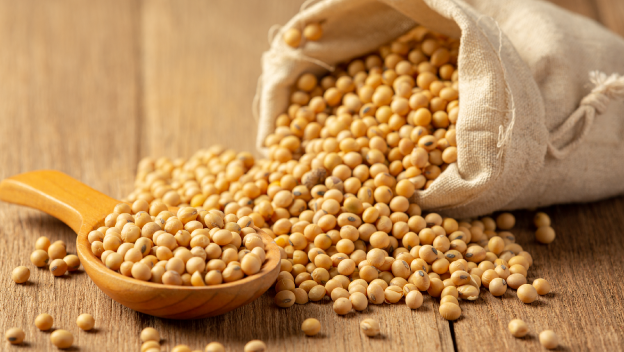 Uống bột đậu nành có tăng vòng 1 không và ảnh hưởng thế nào đến nội tiết tố nữ?