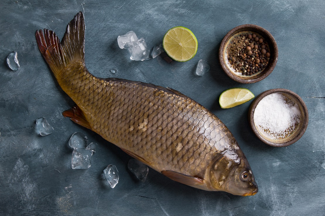 Cá trắm bao nhiêu calo, protein? Dinh dưỡng thịt cá, năng lượng khi chế biến, cách ăn tốt cho sức khỏe