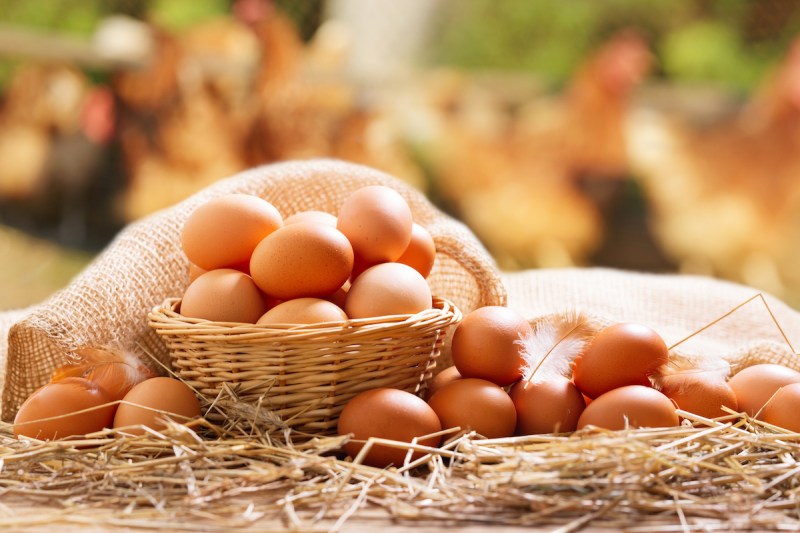 Cách bảo quản trứng gà: Ngăn lạnh tối ưu và mẹo giữ trứng tươi lâu