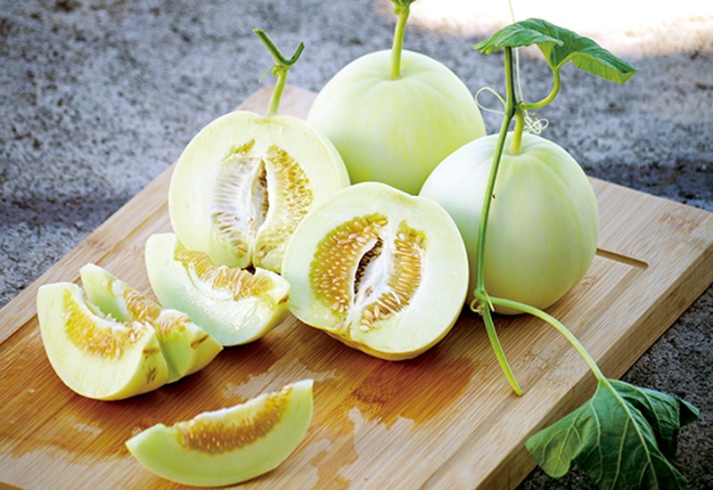 So sánh và ứng dụng của dưa lê trong chế độ ăn uống