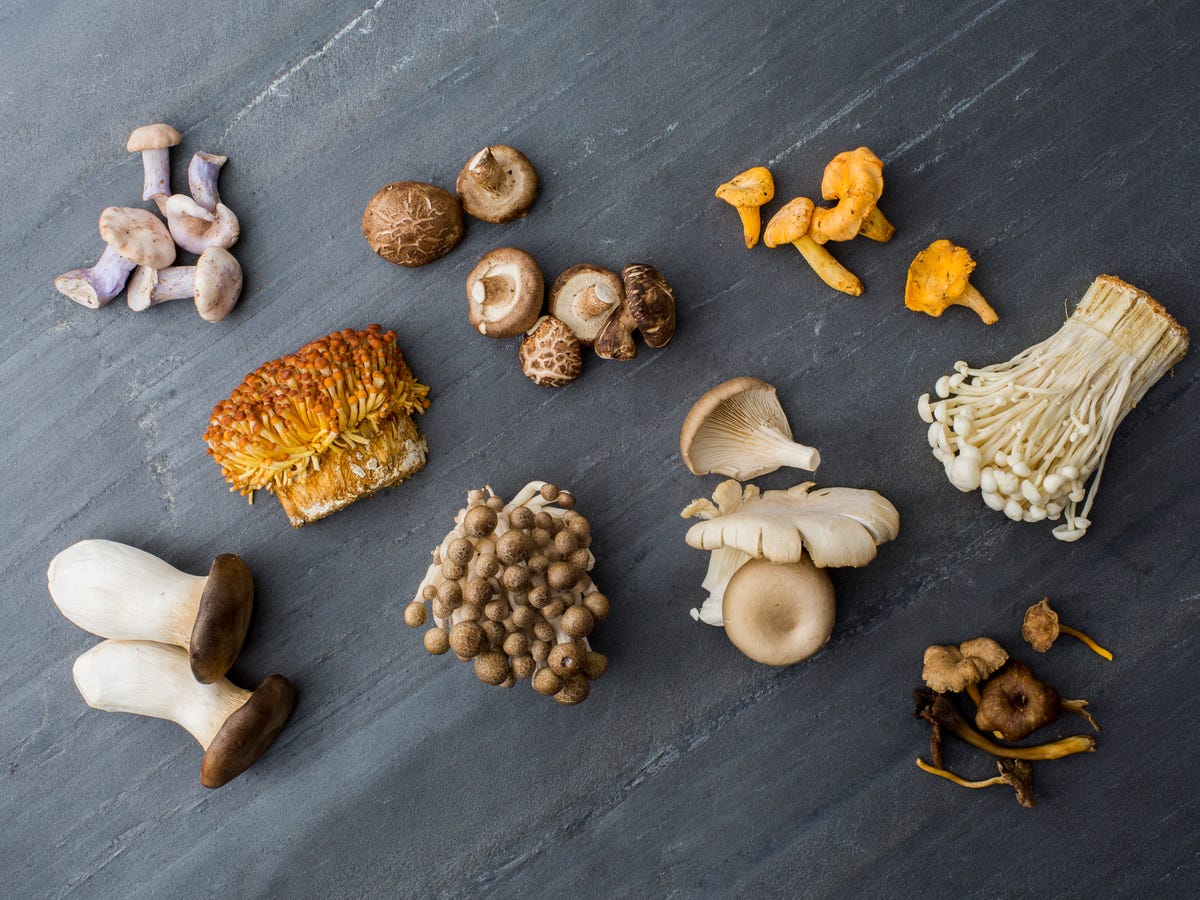 Lợi ích và ứng dụng của nấm trong chế độ ăn uống Lợi ích và ứng dụng của nấm trong chế độ ăn uống