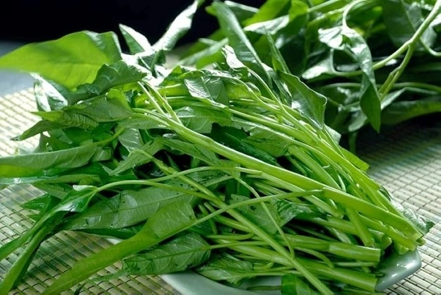 Lợi ích và vai trò của rau muống trong chế độ ăn uống Lợi ích và vai trò của rau muống trong chế độ ăn uống