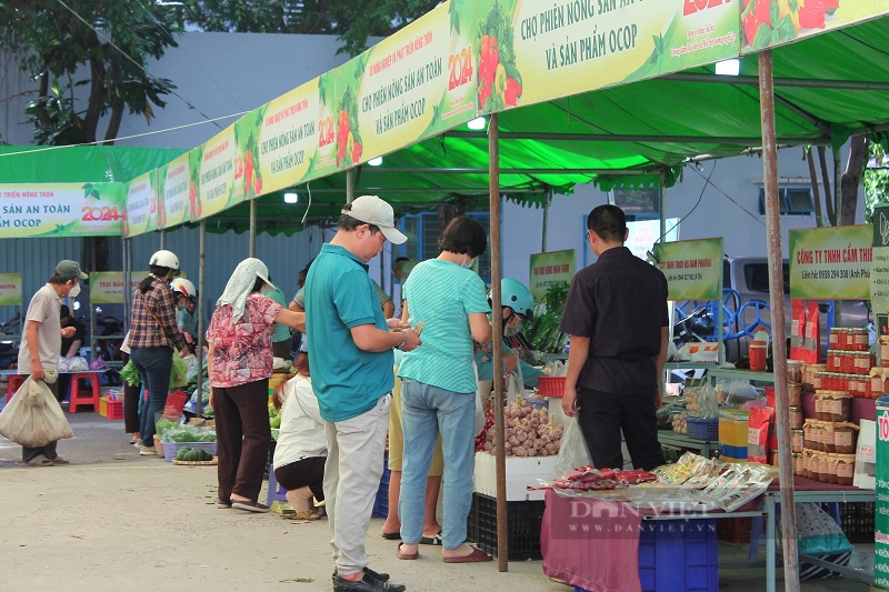 Chợ nông sản khu đô thị Thứ Bảy: Tổng quan, hoạt động, hạ tầng xã hội, trải nghiệm mua sắm