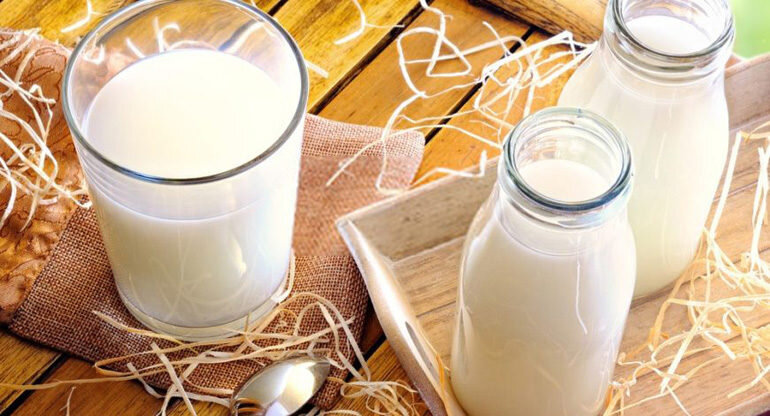 Sữa tươi không đường bao nhiêu calo, protein? Thành phần dinh dưỡng, năng lượng mỗi khẩu phần, lượng protein dễ hấp thu